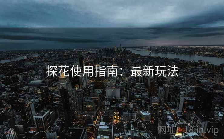 探花使用指南：最新玩法