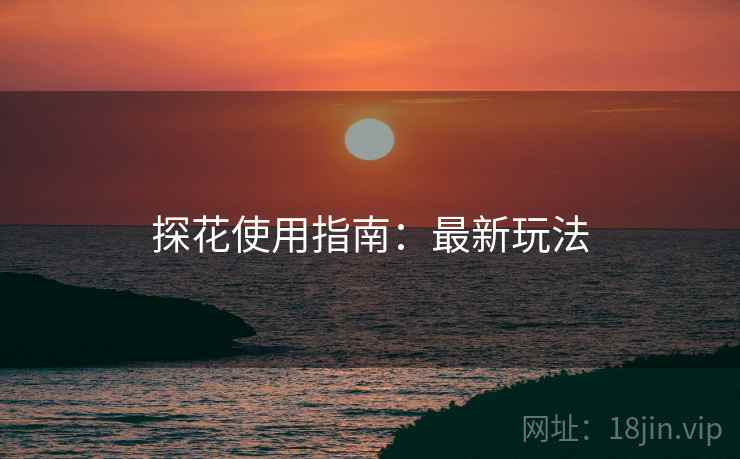 探花使用指南：最新玩法