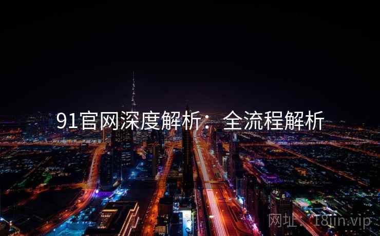 91官网深度解析：全流程解析