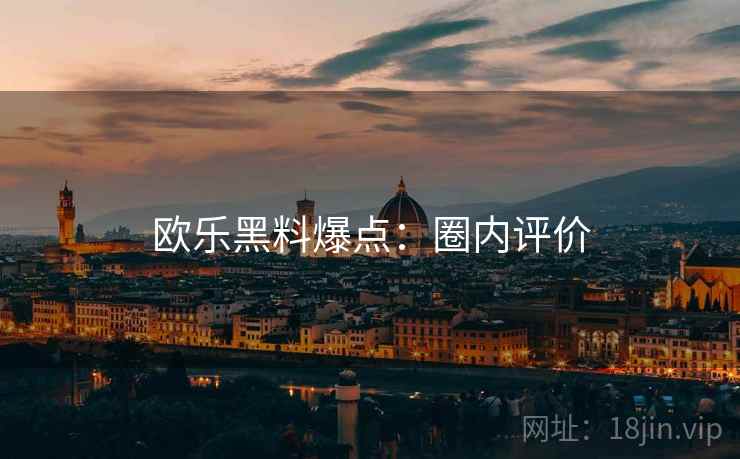 欧乐黑料爆点：圈内评价