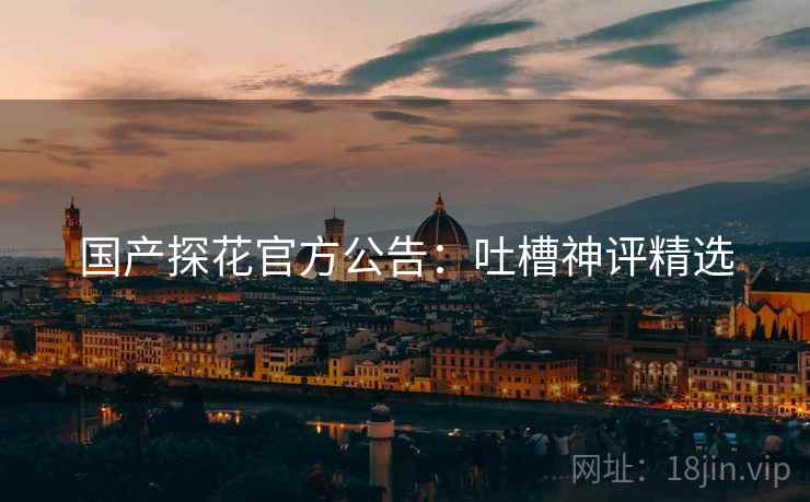 国产探花官方公告：吐槽神评精选