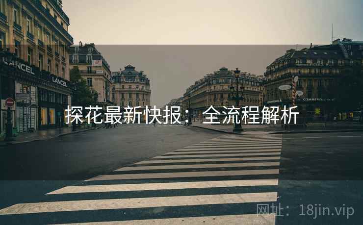 探花最新快报：全流程解析