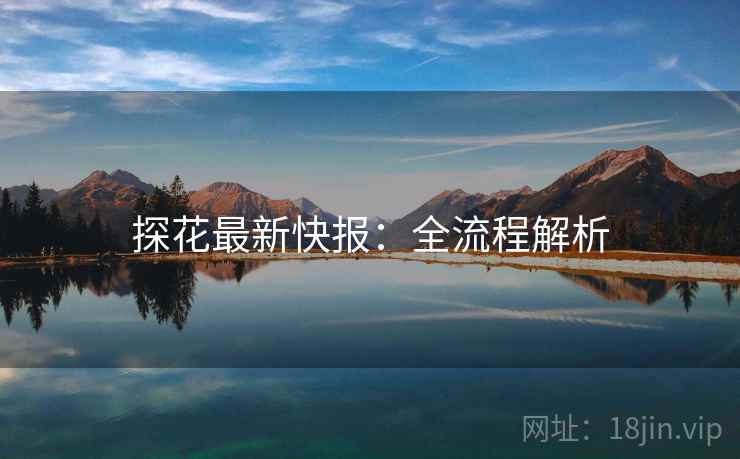 探花最新快报：全流程解析