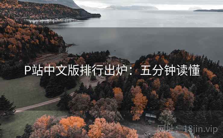 P站中文版排行出炉：五分钟读懂