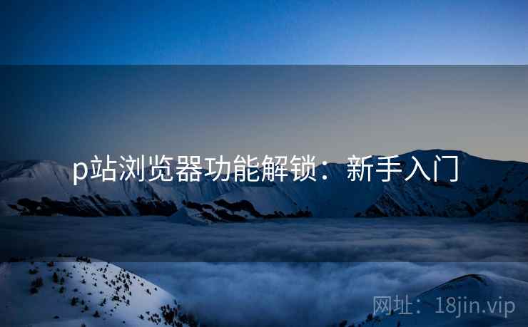 p站浏览器功能解锁：新手入门