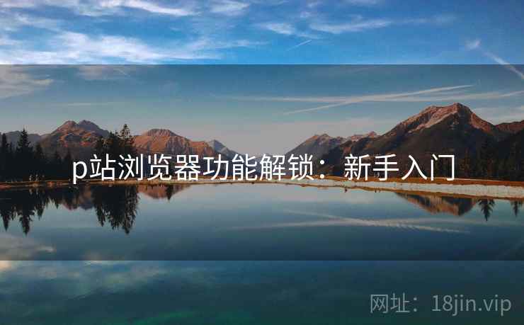 p站浏览器功能解锁：新手入门
