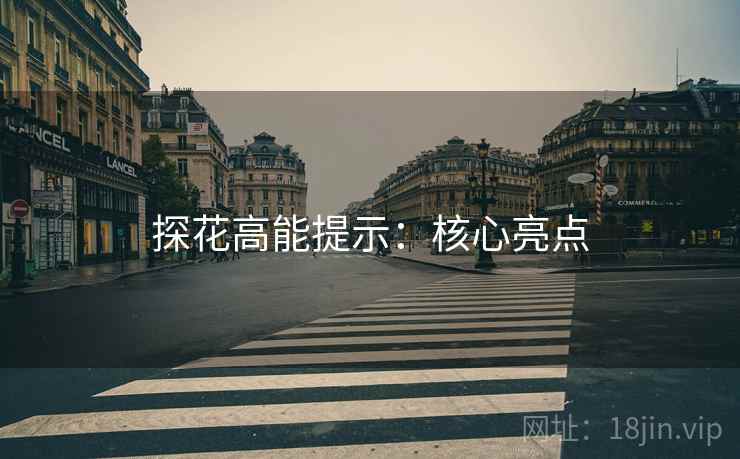 探花高能提示：核心亮点