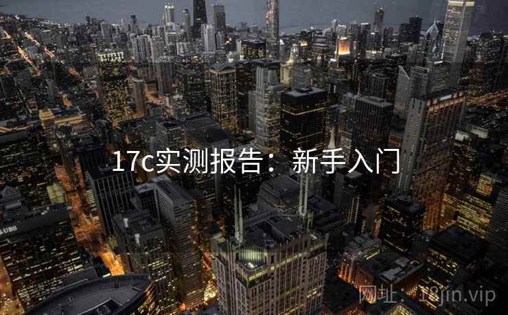 17c实测报告：新手入门