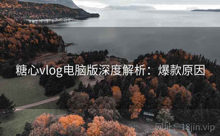 糖心vlog电脑版深度解析：爆款原因